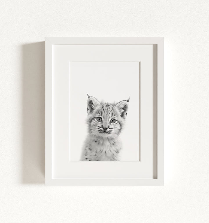Baby Bobcat Framed Art