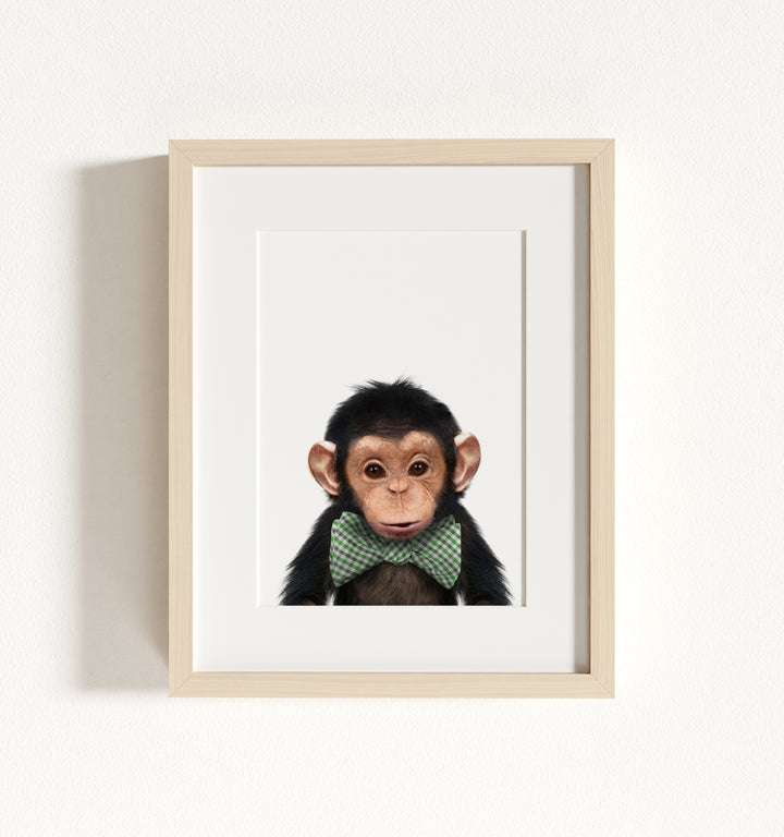 Baby Chimpanzee Framed Art