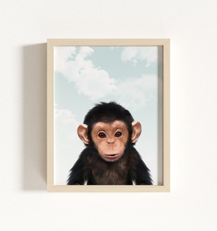 Baby Chimpanzee Framed Art
