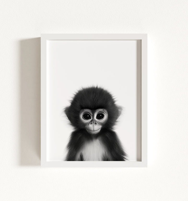 Baby Monkey Framed Art