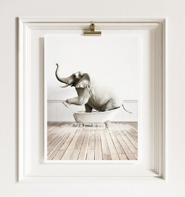 Elephant in White Bathtub