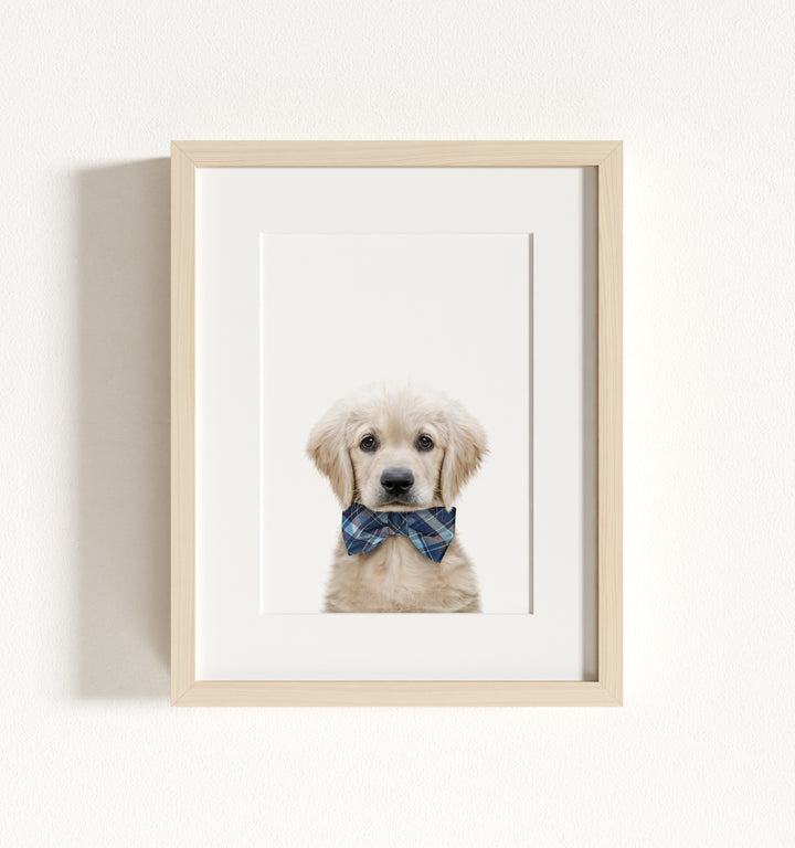 Baby Puppy Golden Retriever Portrait Framed Art