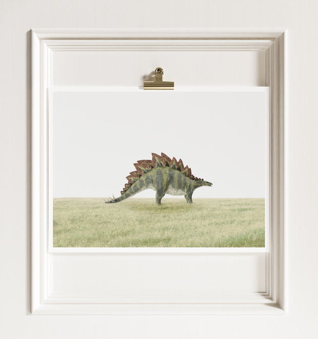 Stegosaurus Dinosaur
