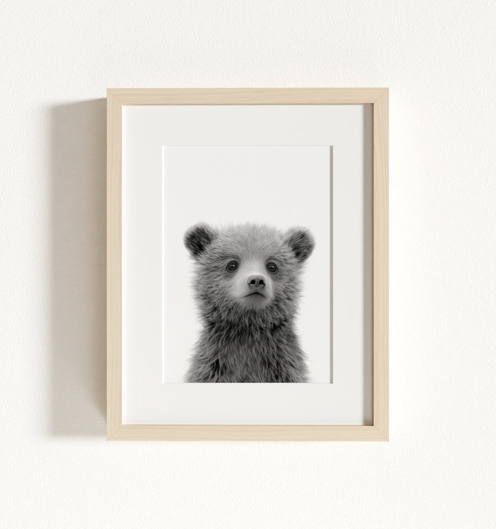 Baby Grizzly Bear Framed Art
