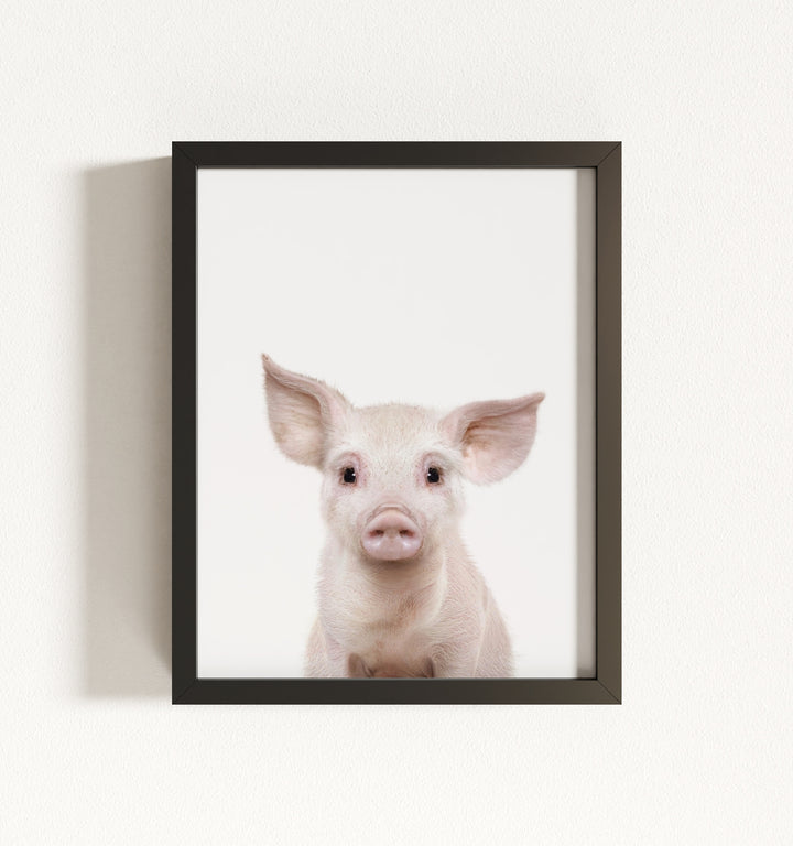 Baby Pig No. 2 Framed Art