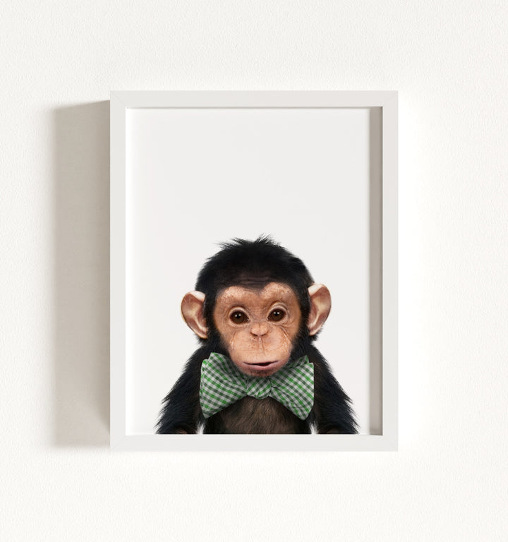 Baby Chimpanzee Framed Art