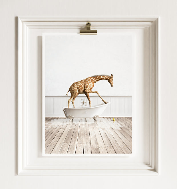 Giraffe in White Bathtub