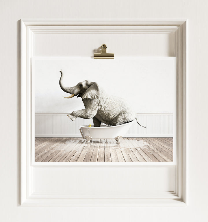 Elephant in White Bathtub