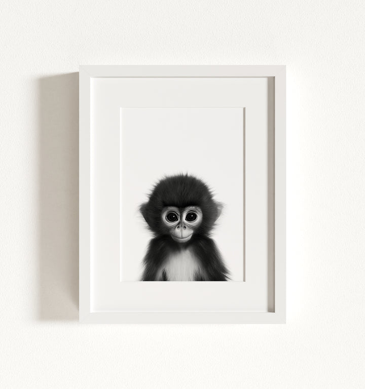 Baby Monkey Framed Art