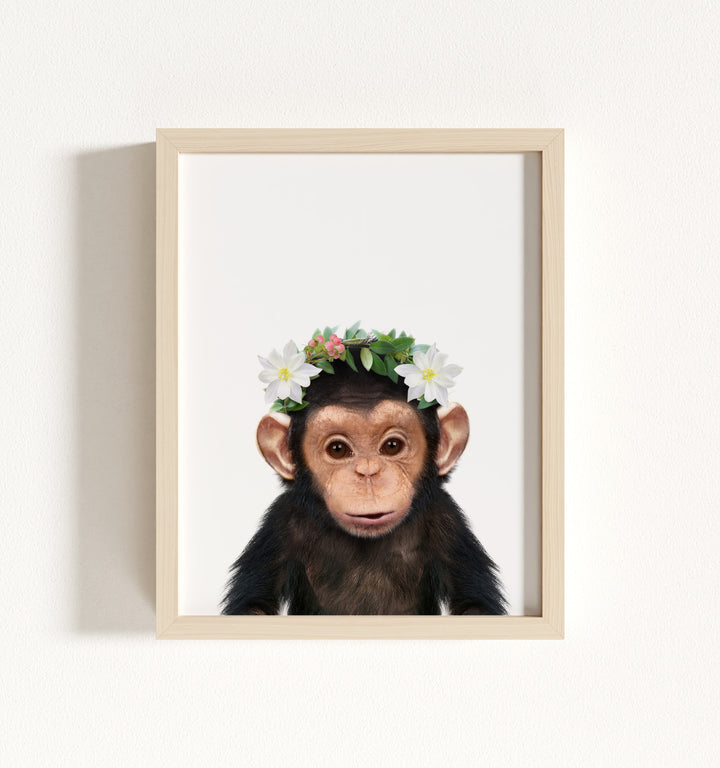 Baby Chimpanzee Framed Art