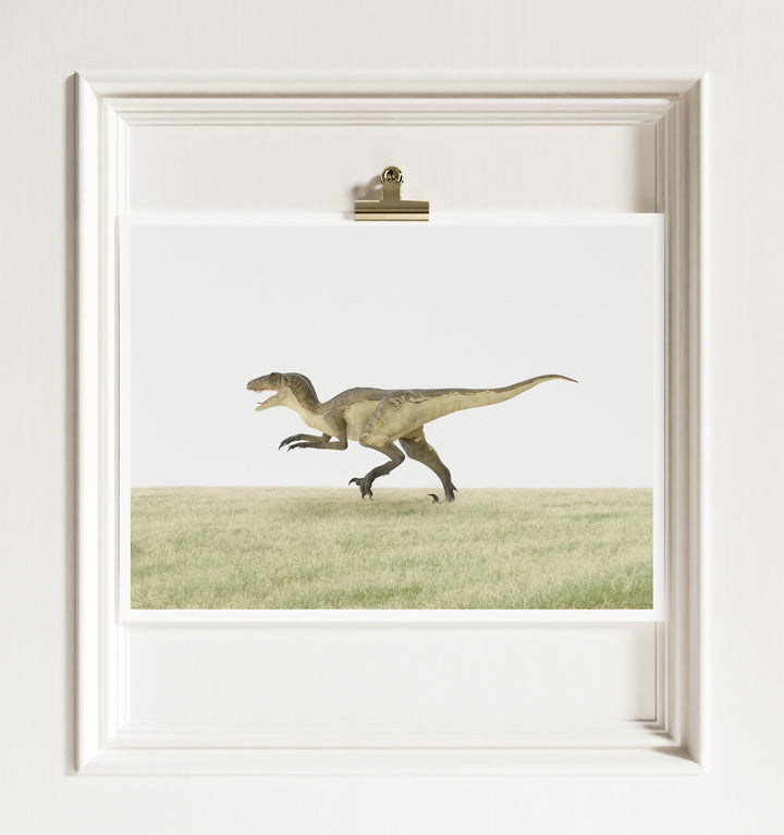 Deinonychus Dinosaur