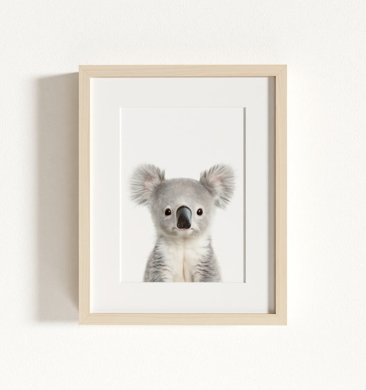 Baby Koala Framed Art