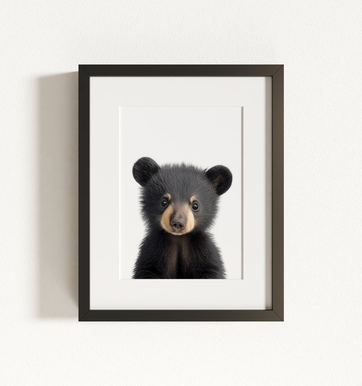 Baby Black Bear Framed Art