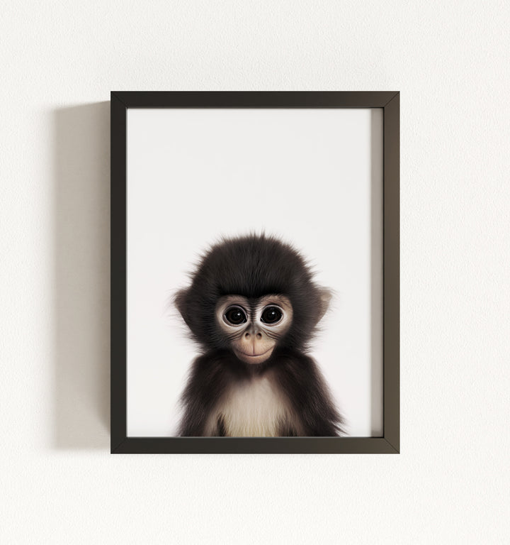 Baby Monkey Framed Art