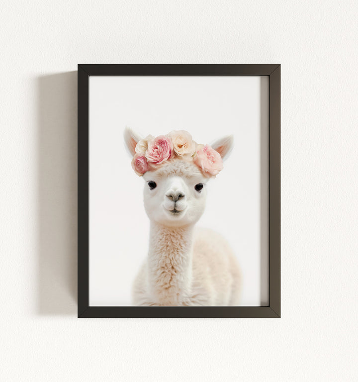 Baby Alpaca Framed Art