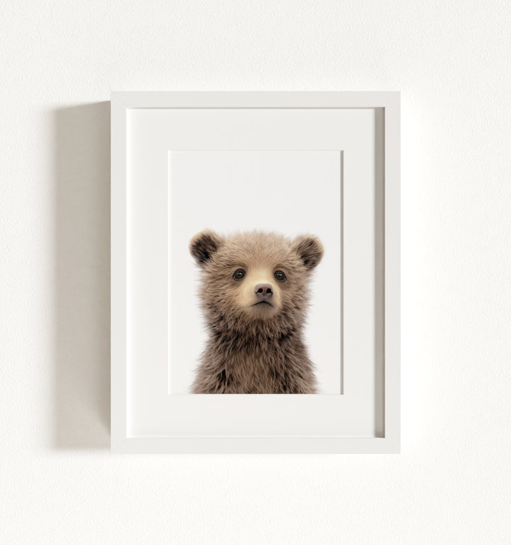 Baby Grizzly Bear Framed Art