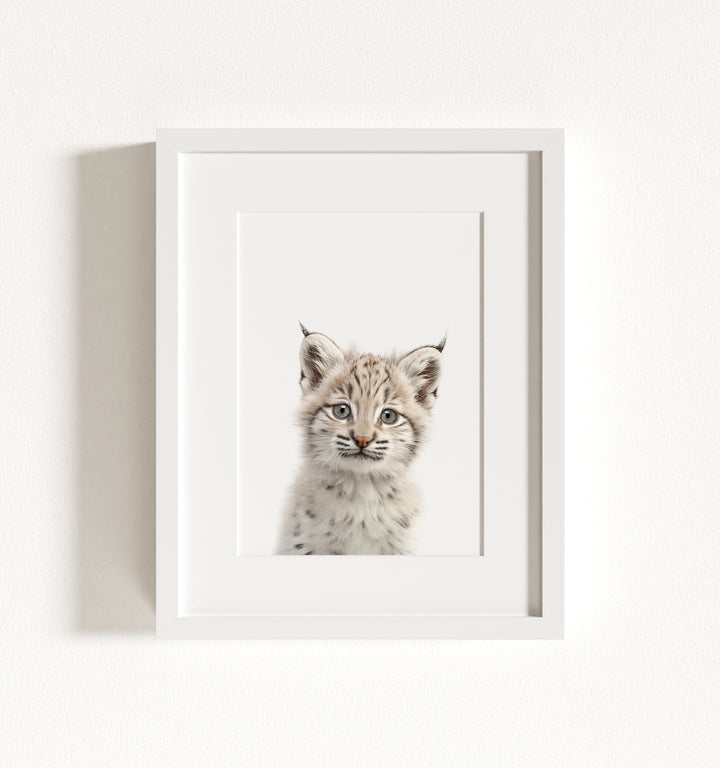Baby Bobcat Framed Art