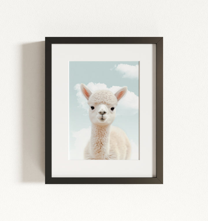Baby Alpaca Framed Art