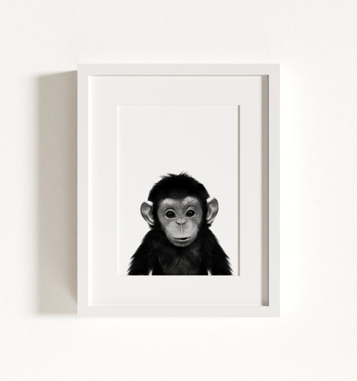 Baby Chimpanzee Framed Art