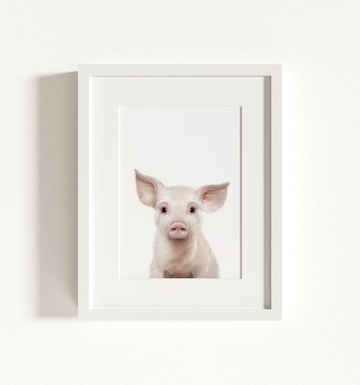 Baby Pig No. 2 Framed Art