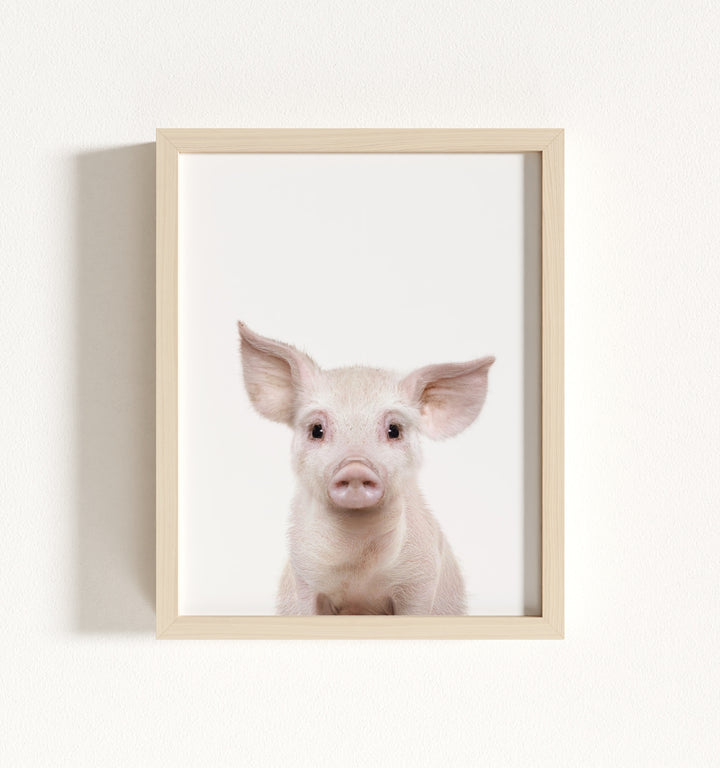 Baby Pig No. 2 Framed Art