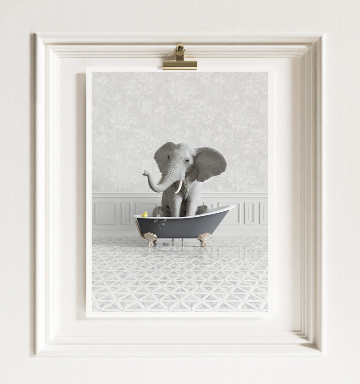 Elephant in a Gray Bathtub