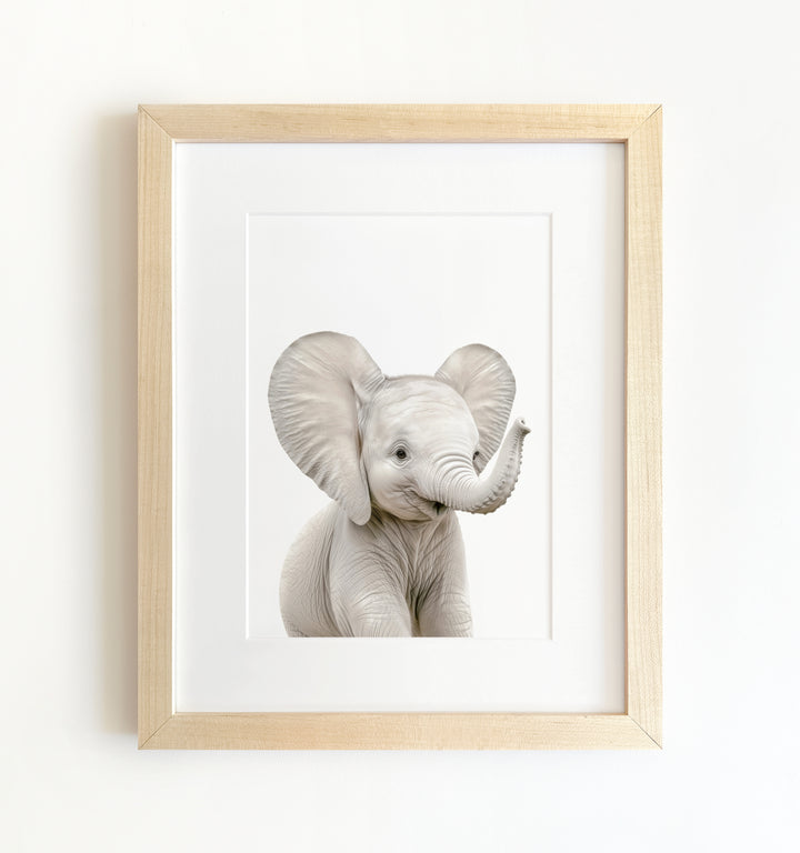 Framed Baby Jungle & Safari Animals Set of 6 Nursery Decor