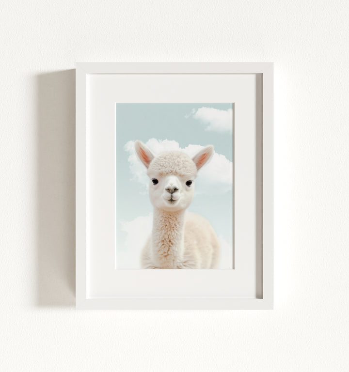 Baby Alpaca Framed Art