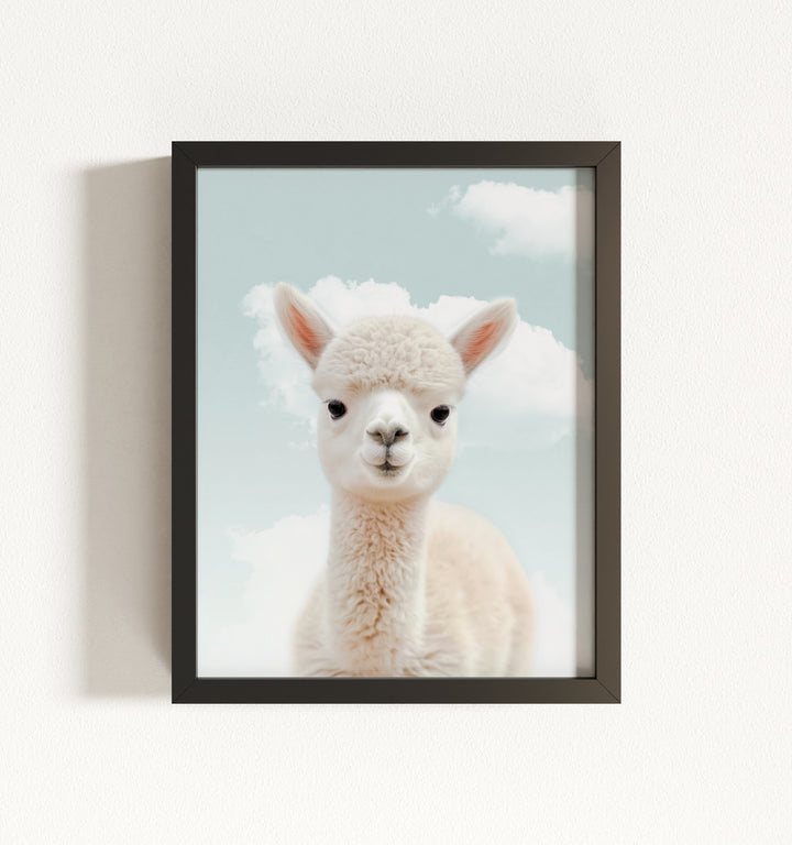 Baby Alpaca Framed Art