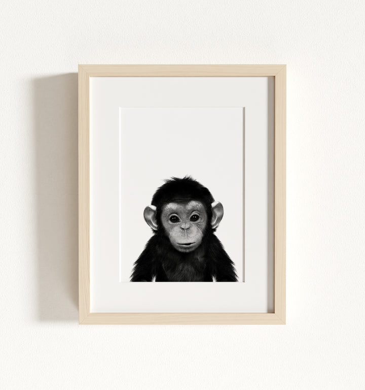 Baby Chimpanzee Framed Art