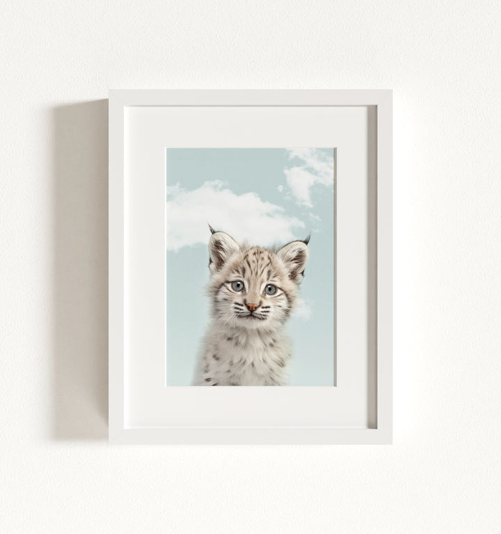 Baby Bobcat Framed Art