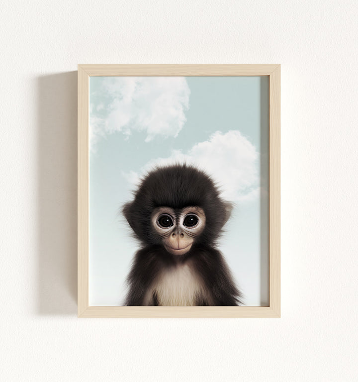 Baby Monkey Framed Art