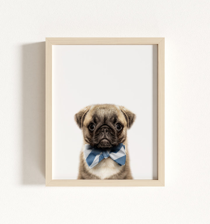 Baby Pug Puppy Framed Art