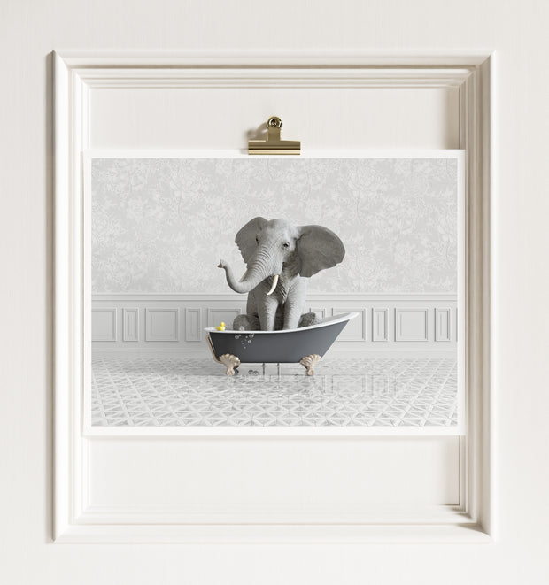 Elephant in a Gray Bathtub