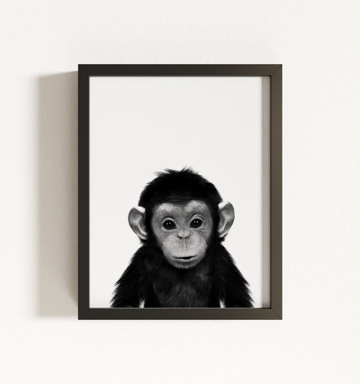 Baby Chimpanzee Framed Art