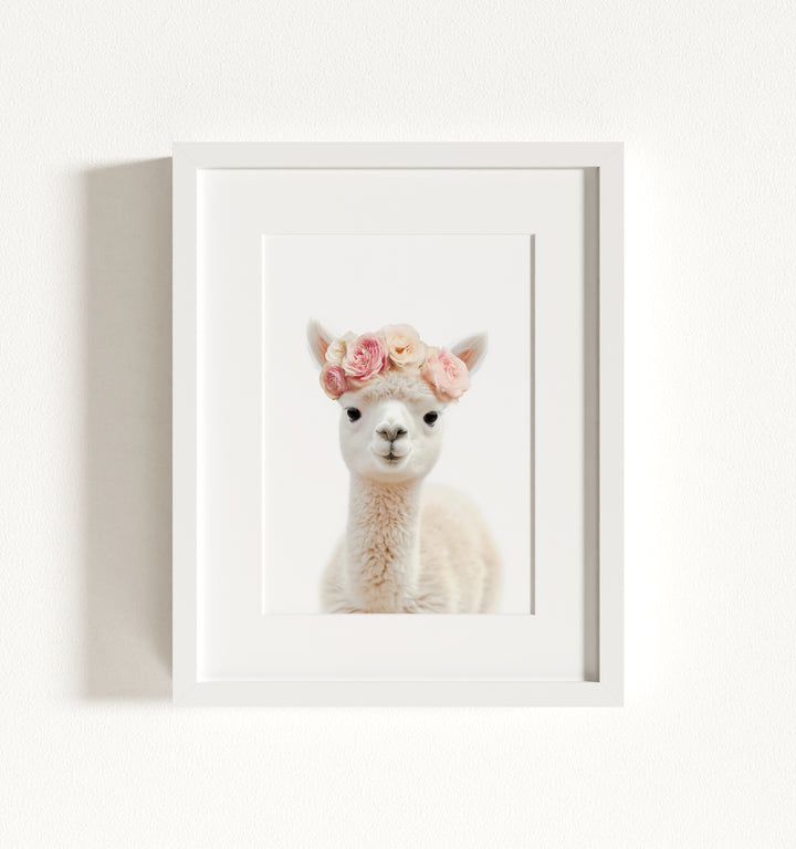 Baby Alpaca Framed Art