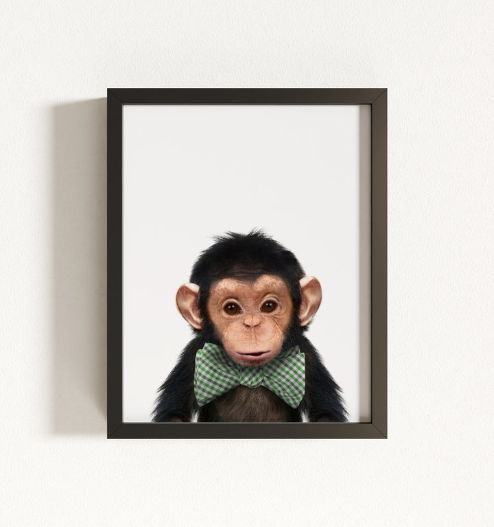 Baby Chimpanzee Framed Art