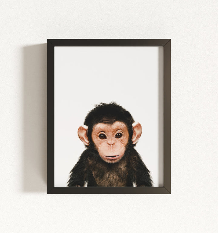 Baby Chimpanzee Framed Art