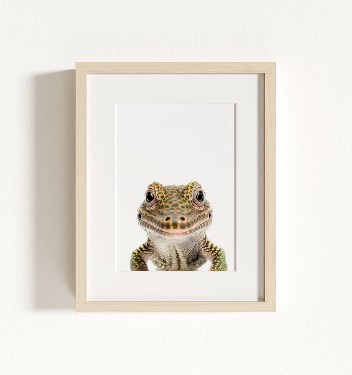Baby Alligator Framed Art