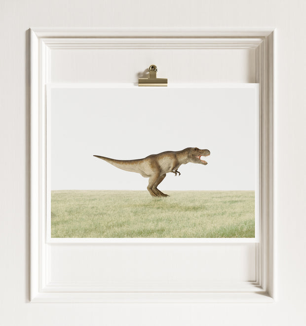 Tyrannosaurus Rex Dinosaur