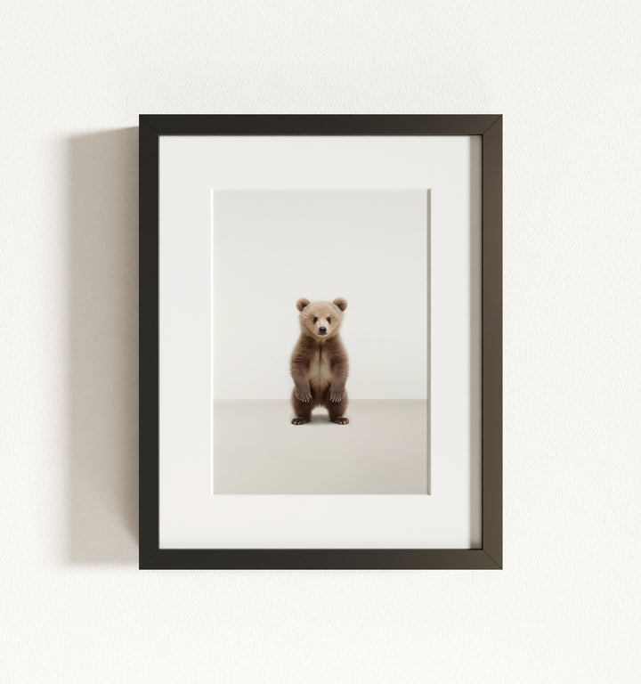 Studio Bear Framed Art