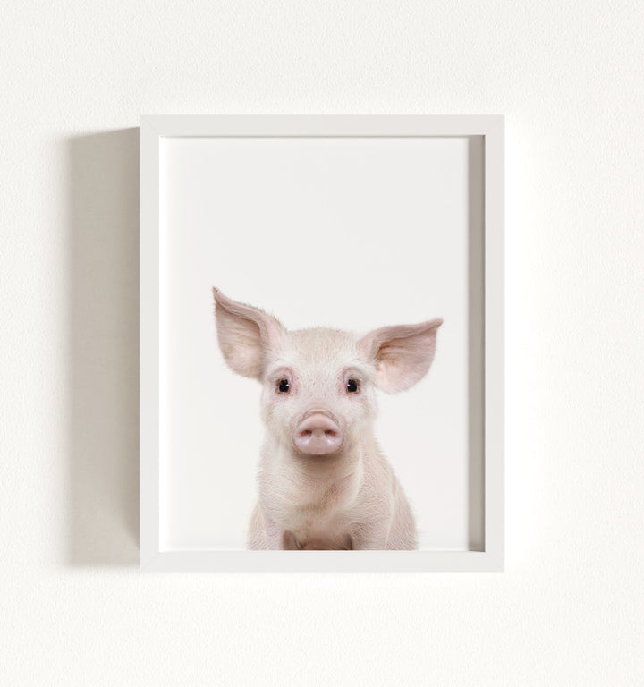 Baby Pig No. 2 Framed Art