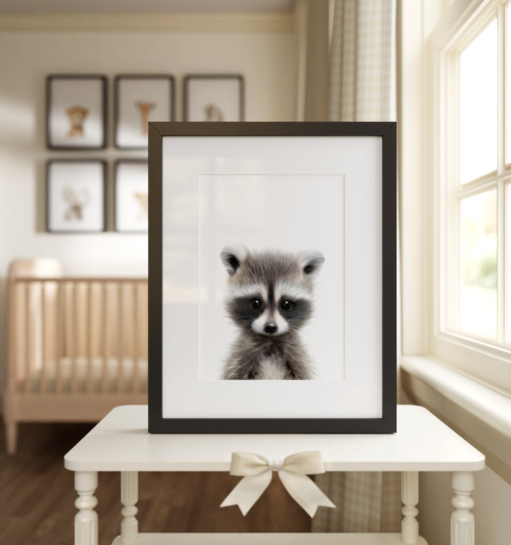 Baby Raccoon Framed Art