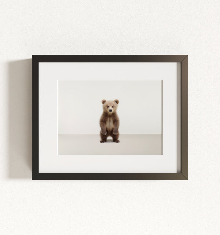 Studio Bear Framed Art