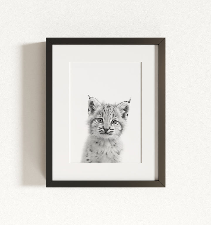 Baby Bobcat Framed Art