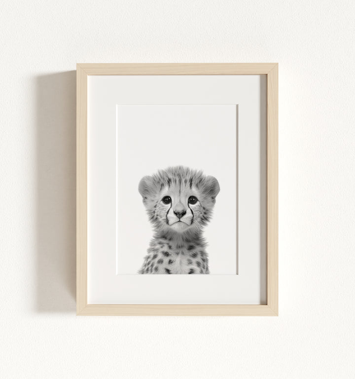 Baby Cheetah Framed Art