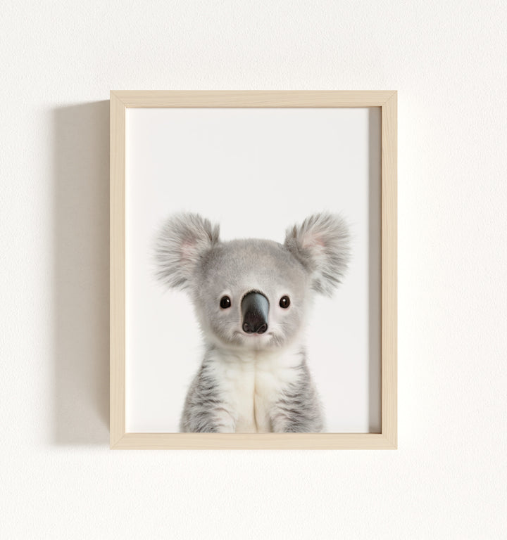 Baby Koala Framed Art