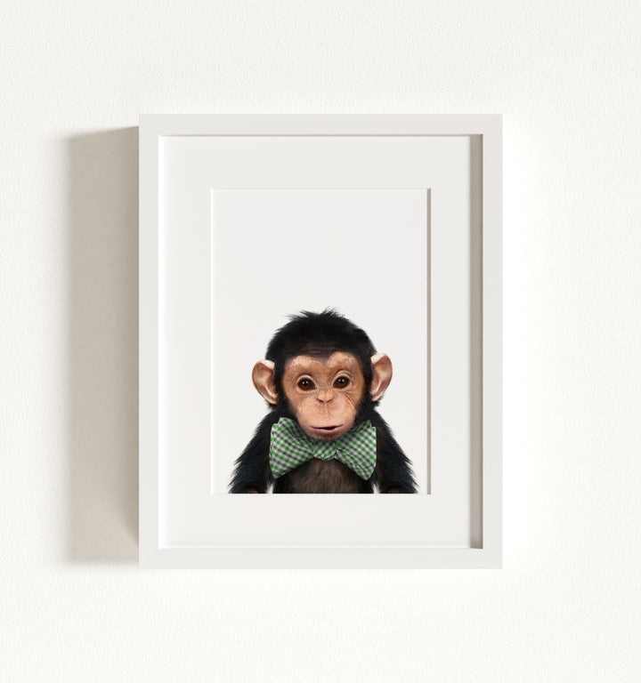 Baby Chimpanzee Framed Art