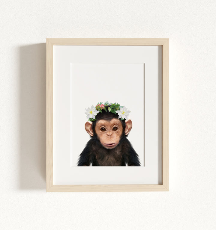 Baby Chimpanzee Framed Art