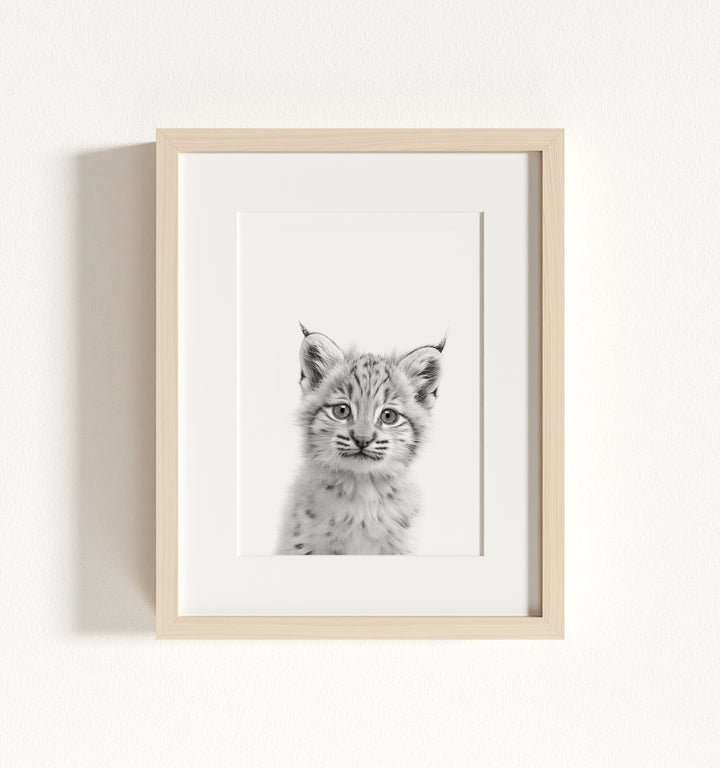 Baby Bobcat Framed Art